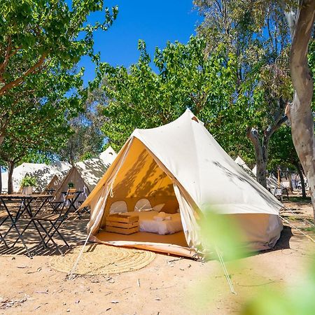 Kampaoh Delta Del Ebro Hotel Ел Побленоу дел Делта Екстериор снимка